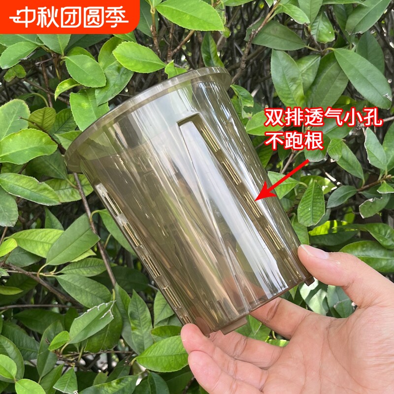 控根盆热绿植龟背竹兰花塑料花盆图片