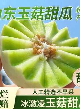 山东玉菇甜瓜冰淇淋口感新鲜水果软糯应当季时令品蜜瓜包邮批发