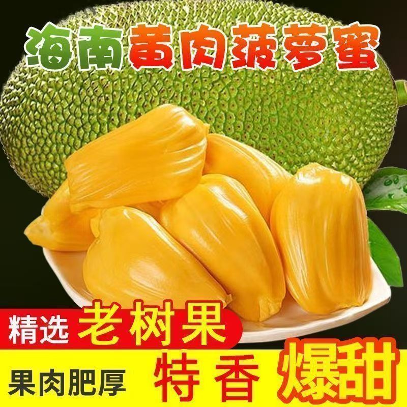 海南菠萝蜜一整个新鲜水果包邮当季现摘干苞黄肉包熟爆甜