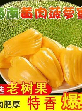 海南黄肉菠萝蜜新鲜水果干包满肉当季特产包邮一整个大果红热带