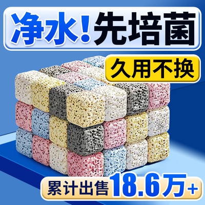 高效培菌陶瓷益菌屋|千人加购