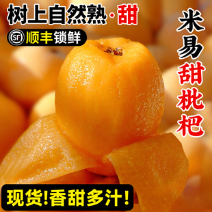 顺丰四川米易枇杷5斤特级攀枝花现摘大琵琶当季新鲜水果整箱包邮