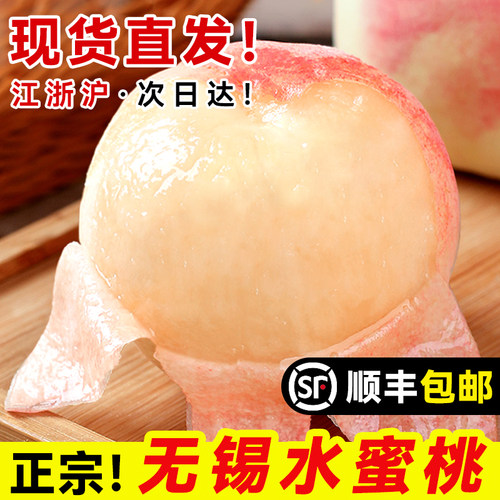 现货正宗无锡水蜜桃子新鲜水果整箱应当季阳湖景山白凤礼盒毛顺丰