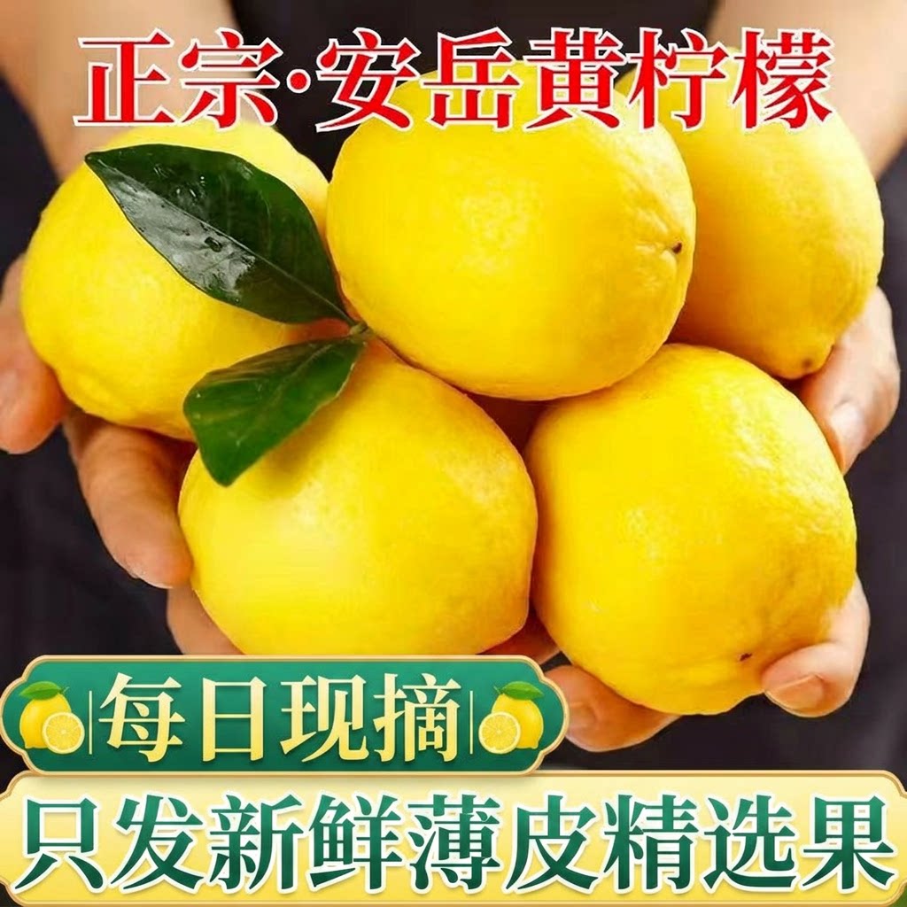 安岳新鲜黄柠檬新鲜水果皮薄多汁产地直发一级鲜果包邮奶茶店泡水