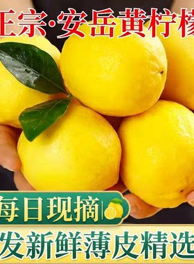 安岳新鲜黄柠檬新鲜水果皮薄多汁产地直发一级鲜果包邮奶茶店泡水