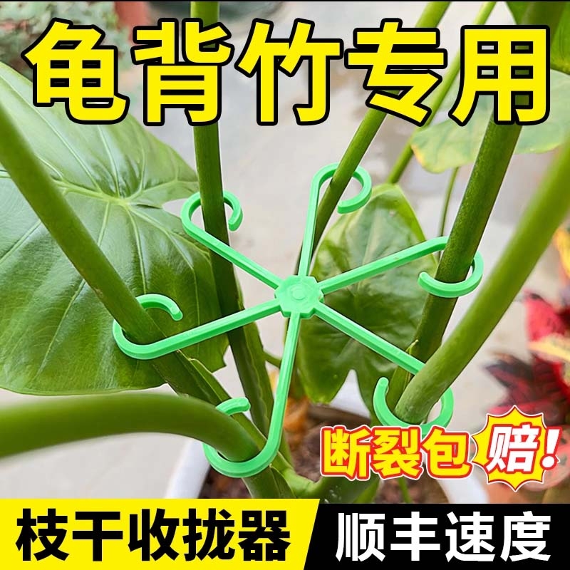龟背竹支撑杆固定器防倒春羽支架水培固定花盆架园艺花卉绿植收拢