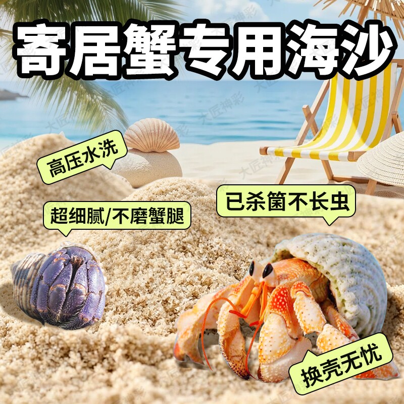 沙蟹寄居蟹专用沙养螃蟹天然海沙珊瑚沙相守蟹饲养箱鱼缸造景底砂