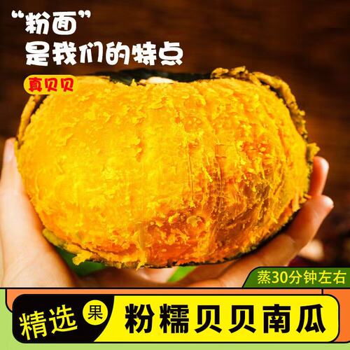 贝贝南瓜板栗味老瓜正宗贝贝