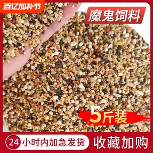 种幼鸽子粮食粮魔鬼粮食清除鸽粮饲料小包装无玉米混合型五色新鲜