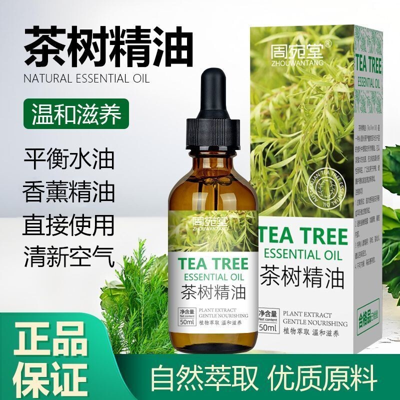正品清新茶树精油清洁净化改善舒缓精油纯茶树学生宿舍居家加湿器