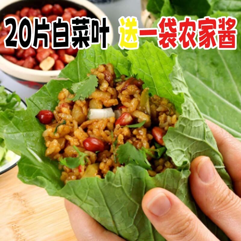 正宗东北白菜叶饭包叶大白菜叶子地摊大白菜叶打包新鲜蔬菜包邮