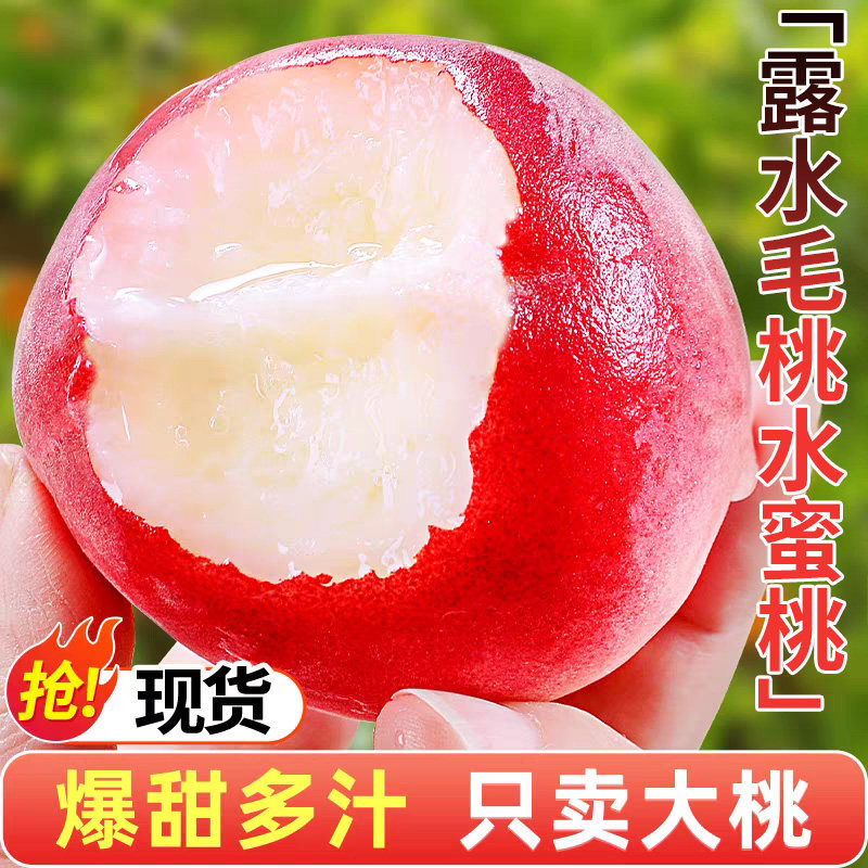 现货水蜜桃新鲜当季水果整箱毛桃包邮应季油密软斤桃子珍珠大桃
