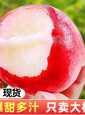 现货水蜜桃新鲜当季水果整箱毛桃包邮应季油密软斤桃子珍珠大桃