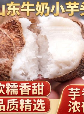 正宗山东牛奶小芋头新鲜红芽毛芋头当季芋艿香芋软糯奶香