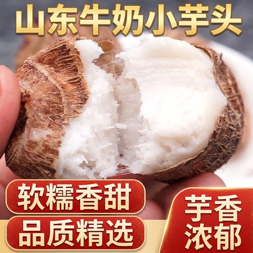 正宗山东牛奶小芋头新鲜红芽毛芋头当季芋艿香芋软糯奶香