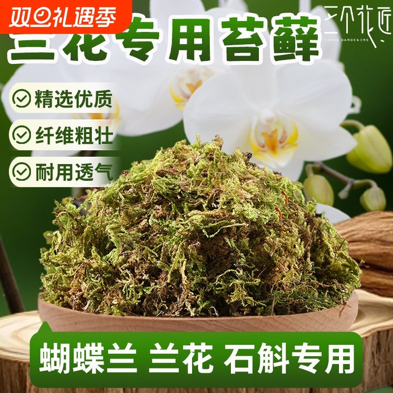 青苔水苔藓盆栽铺面乌龟垫材种植透气兰花植料蝴蝶兰专用育苗干苔