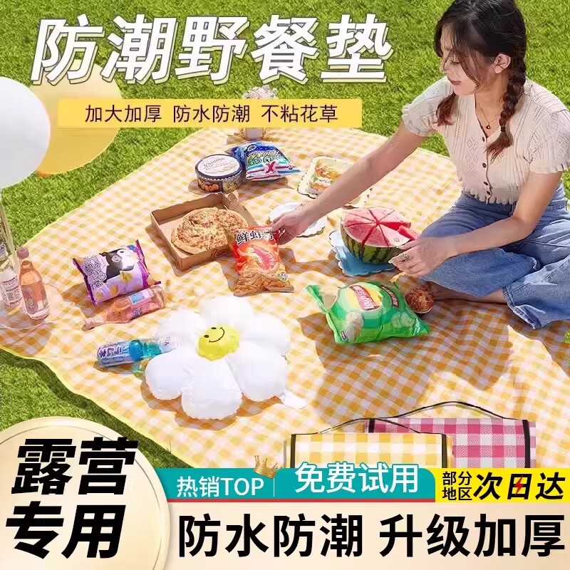 户外野餐垫防潮垫加厚野炊野营沙滩帐篷地垫防水草坪垫子便携郊游