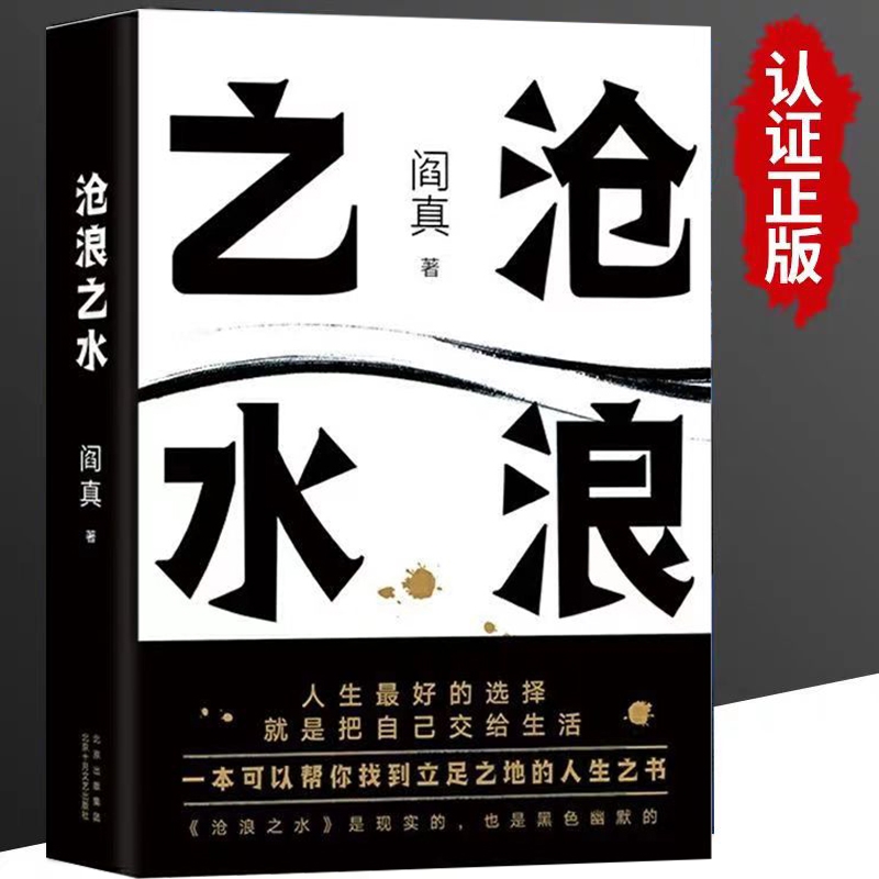 【正版书籍】沧浪之水 如何是好 阎真著 经典官场小说现当代小说 活着之上短篇长篇小说官场职场畅销书籍排行榜茅盾文学奖提名yx