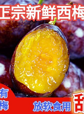 【果园直发】正宗大西梅新鲜水果西梅李子应季当季孕妇水果包邮