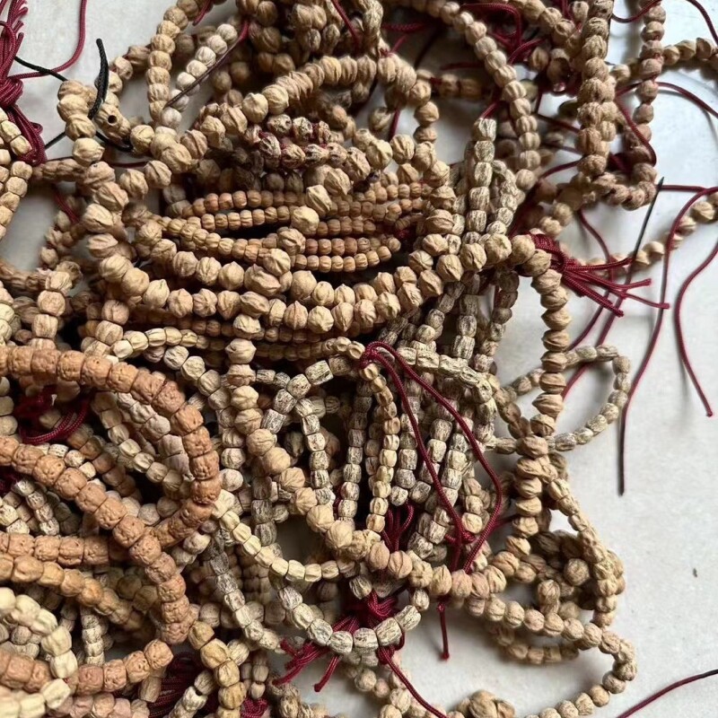 ����������ֳ� �������������������ֳ�����ä����Ů��ԭ�ѷ�����������������