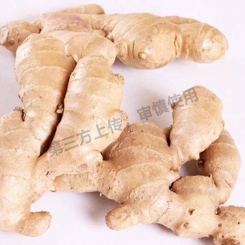 山东新鲜正宗水洗风干姜大姜生姜老姜大黄姜月子姜批发当季农场
