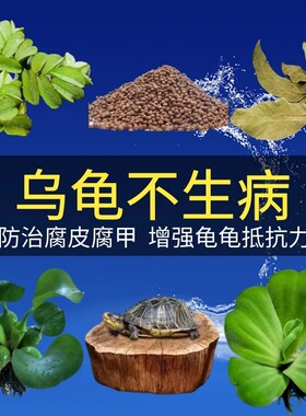 乌龟缸养龟专用高山龙眼木造景装饰水草乌龟晒背台套餐防腐皮腐甲