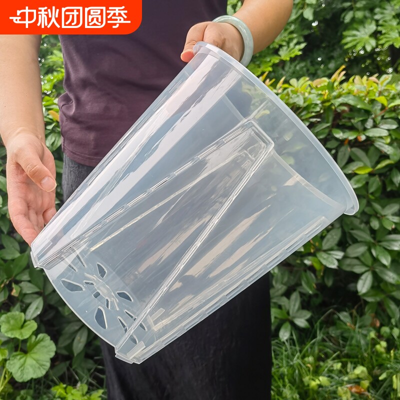 高透明大口径控根盆透气防烂根										