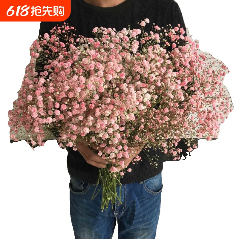 满天星勿忘我干花花束家居摆设客厅装饰摆件永生花鲜花情人节大束