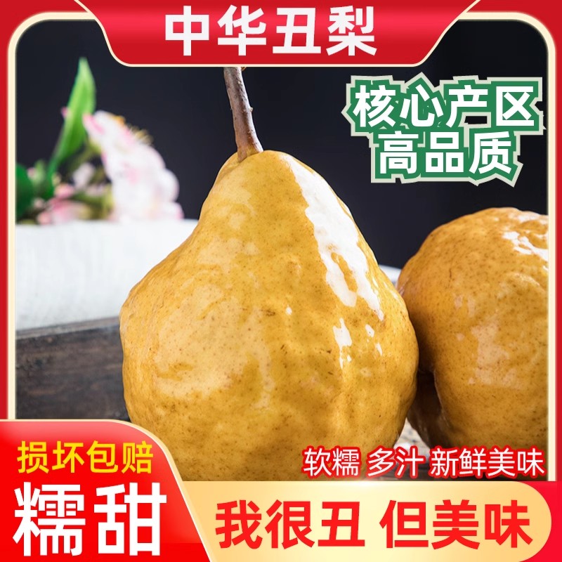 正宗中华丑梨软糯梨子山东烟台新鲜水果当季太婆啤梨