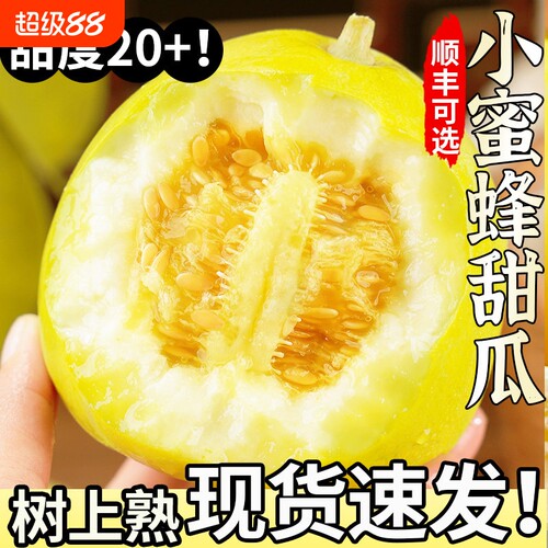 小蜜蜂甜瓜正宗山东香瓜新鲜水果小黄金瓜应季整箱顺丰绿宝脆甜