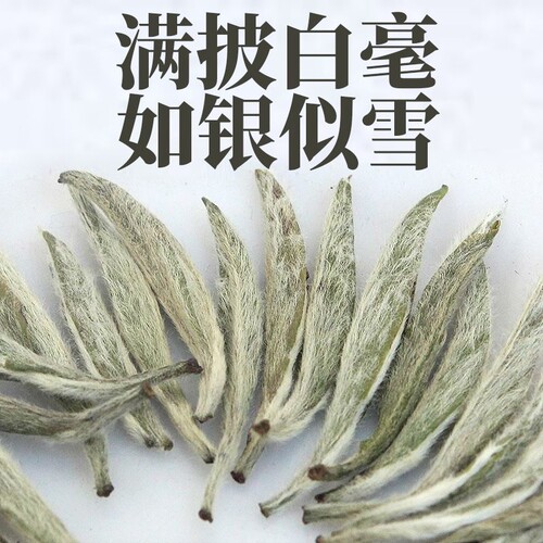 福鼎高山白茶特白毫银针2026新茶高山荒野明前头采嫩芽白银针250g