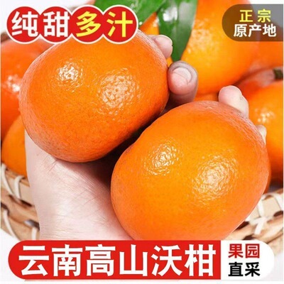 云南沃柑新鲜水果当季整箱现摘斤沙糖蜜橘砂糖柑橘桔子橘5斤阳光