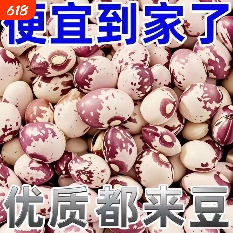 雀蛋豆新货贵州特产大贵州花生豆豆类批发奶花豆杂粮新豆子新鲜