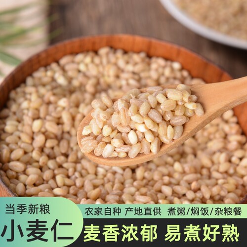新货新麦仁米小麦仁去皮优质脱壳带胚芽煮粥饭五谷杂粮
