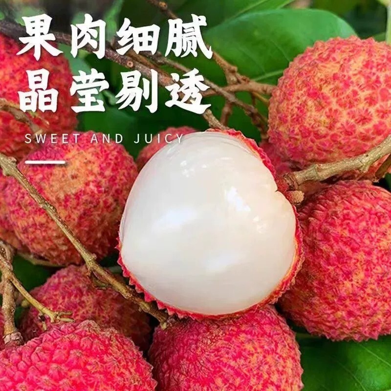 黑叶荔枝 新鲜水果2026现摘现发5斤包邮福建漳州当季乌叶荔枝