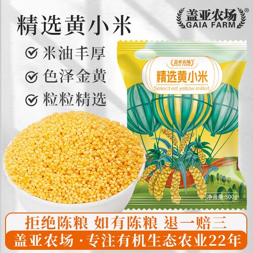 当季东北小米500g农家米油熬粥养胃粘稠五谷杂粮优质黄米煮粥粮食