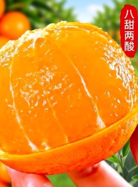 四川特产青见果冻橙耙耙柑非爱媛橘子现摘新鲜水果整箱包邮大果