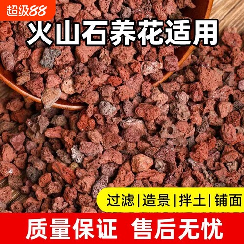 盆栽兰花专用铺面拌土火山石