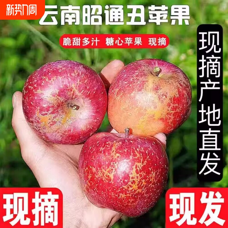 正宗云南昭通冰糖心丑苹果新鲜大凉山当季脆甜水果产地直发现摘