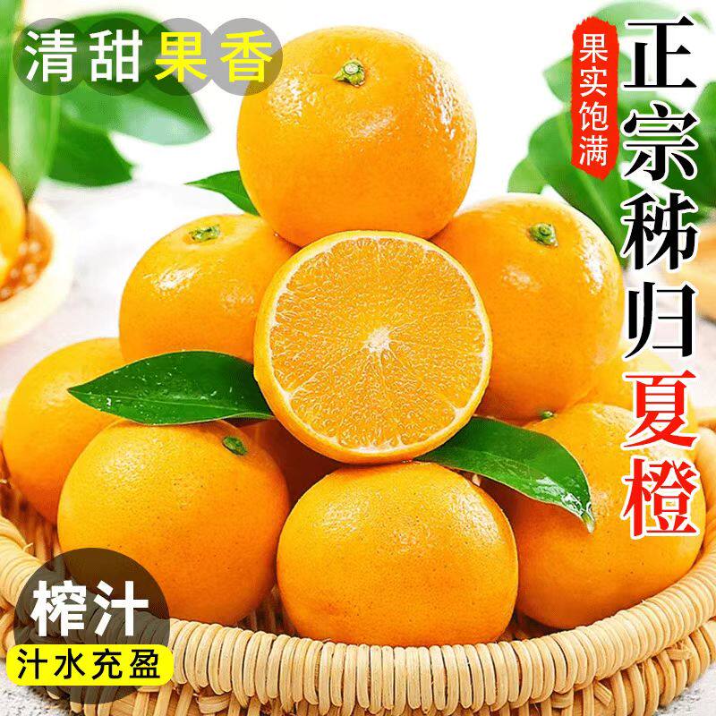 秭归夏橙脐橙子湖北手剥橙果冻甜橙整箱橙子水果新鲜应当季榨汁图片