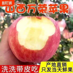 新鲜水果批发 正宗山西红富士苹果脆甜冰糖心苹果当季 果园直发