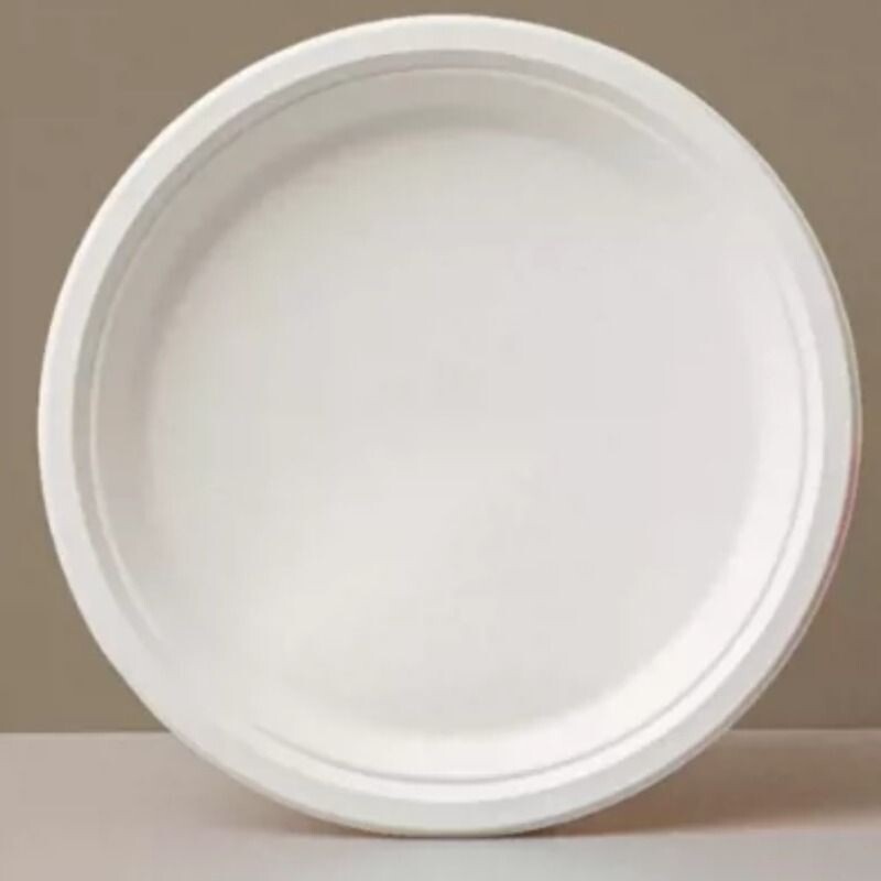 一次性纸盘子幼儿园手工DIY绘画画蛋糕烧烤餐盘纸碟子大纸盘涂鸦