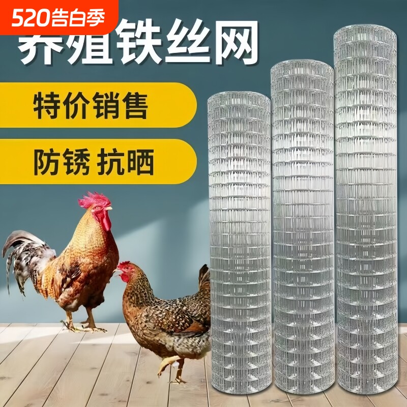 镀锌铁丝网围栏网护栏网鸡鸭网铁网阳台防护网防鼠网鸟笼围墙宠物