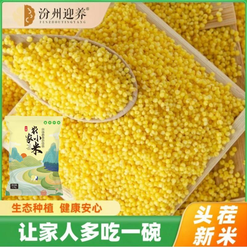 山西农家自种新米黄小米杂粮五谷小米粥小黄米山西香糯粘稠5斤