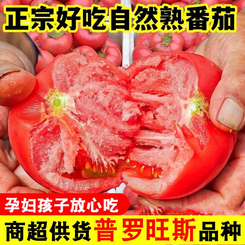正宗陕西泾阳自然熟普罗旺斯番茄孕妇水果生吃沙瓤西红柿新鲜蔬菜