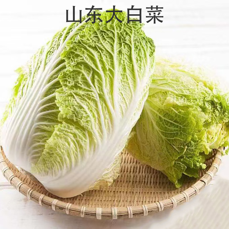 新鲜大白菜新鲜时令蔬菜冬储菜农家自种新鲜蔬菜