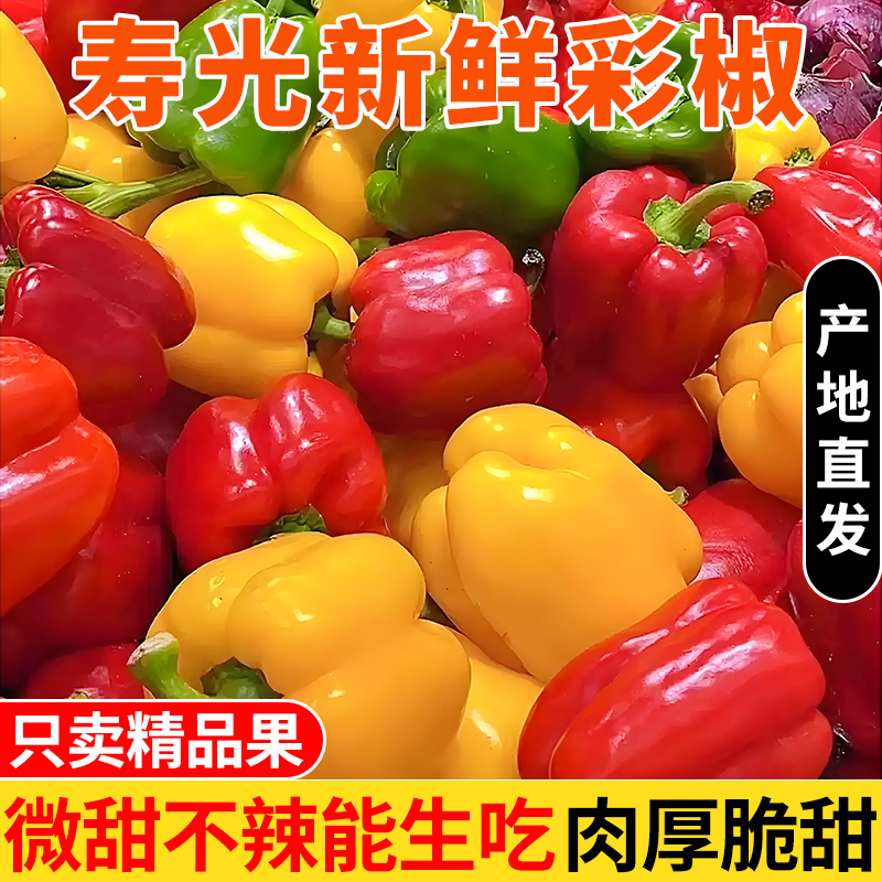山东新鲜五彩椒不辣可生吃甜椒红黄绿三色大果圆椒辣椒沙拉蔬菜