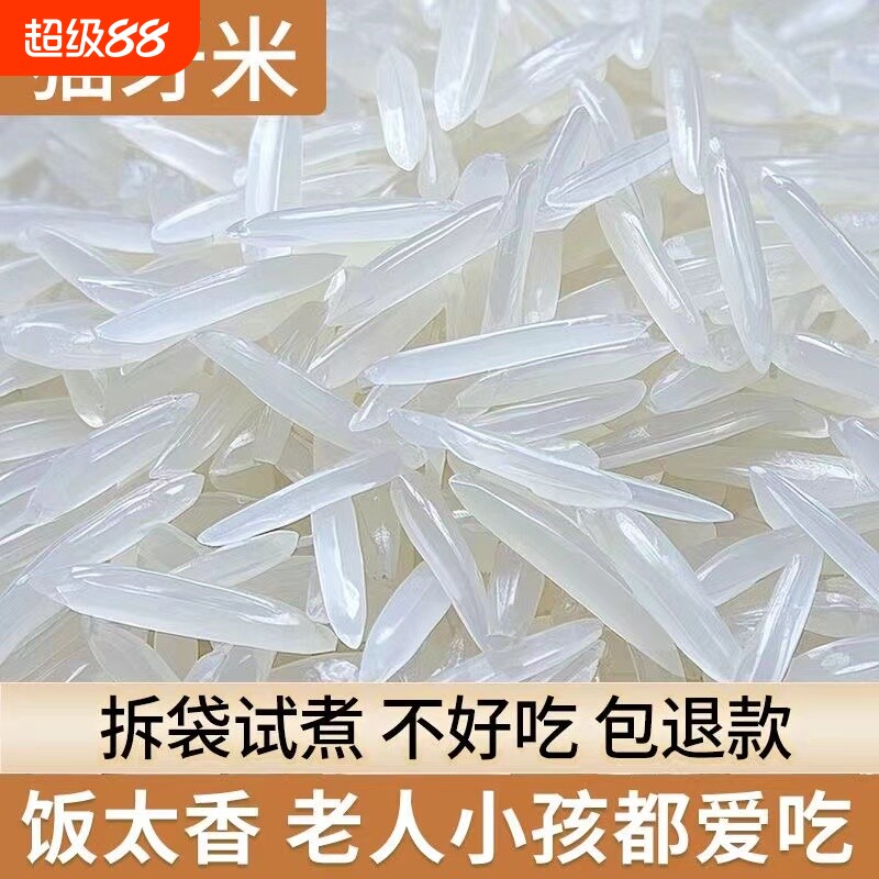 猫牙香米广西上林新米长粒原生态大米20斤晚稻便宜优质当季米业