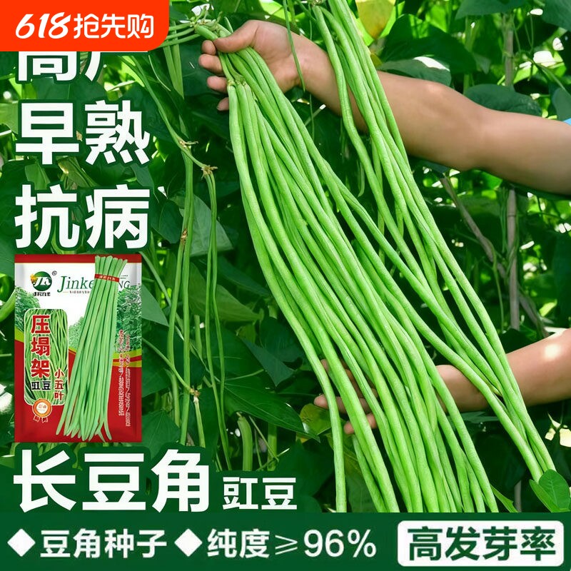 四季蔬菜黄瓜种子豆角辣椒阳台菜种籽种子大全绿豆小香葱高产柳叶