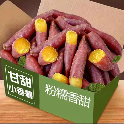 板栗红薯新鲜小香薯现挖